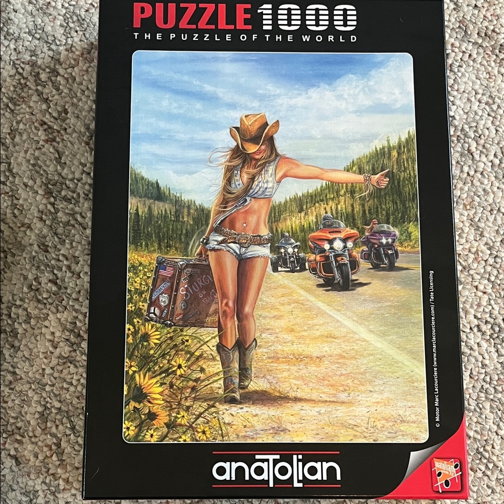 1000-Piece Puzzle - American Gypsy